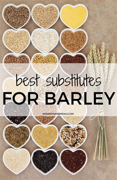 are barley flakes gluten free.